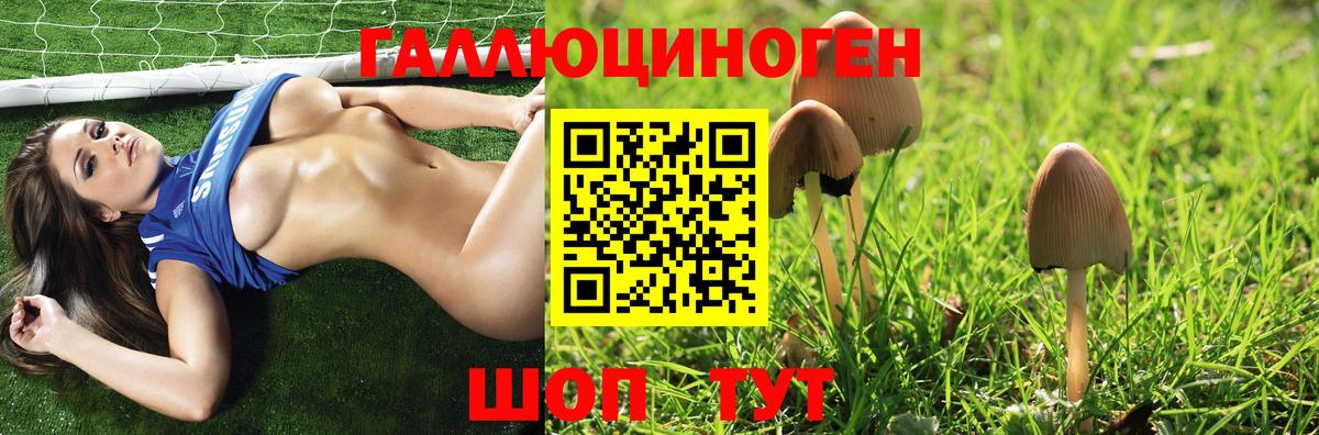 Псилоцибиновые грибы Psilocybe  купить   Севастополь 