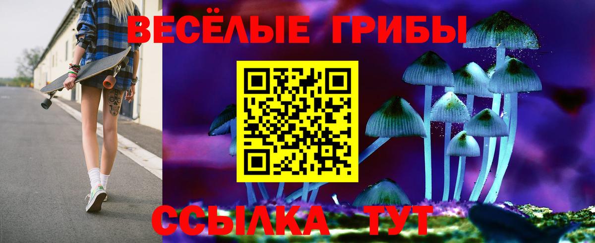 Севастополь  Галлюциногенные грибы Psilocybine cubensis  Вход с VPN  Псилоцибиновые грибы Magic Shrooms 